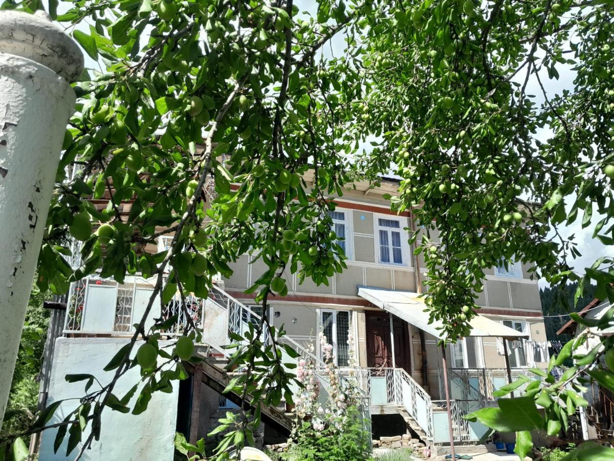 Armazi Otel Khulo Dış mekan fotoğraf