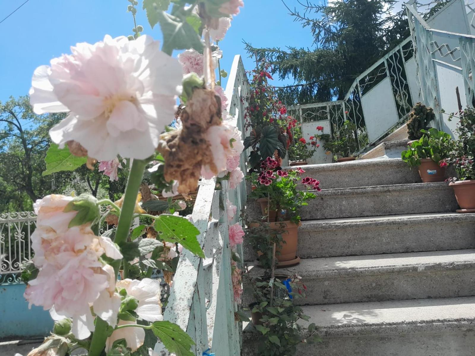 Armazi Otel Khulo Dış mekan fotoğraf