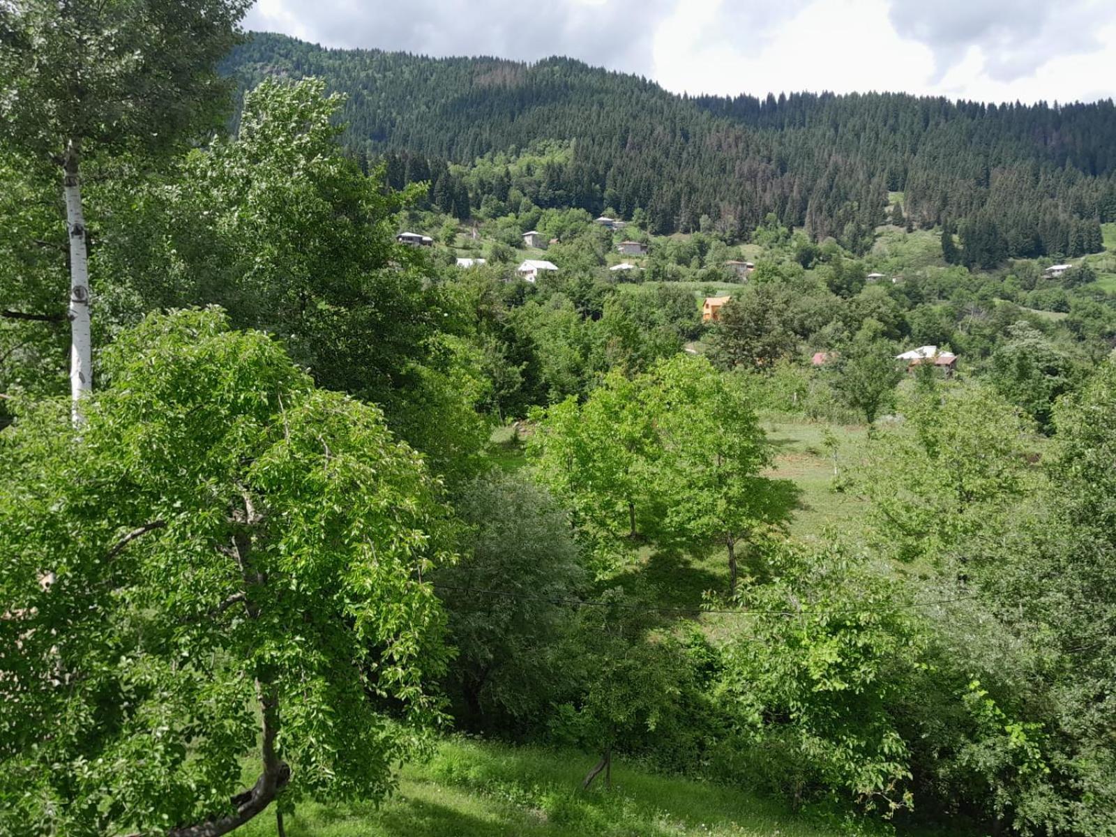 Armazi Otel Khulo Dış mekan fotoğraf