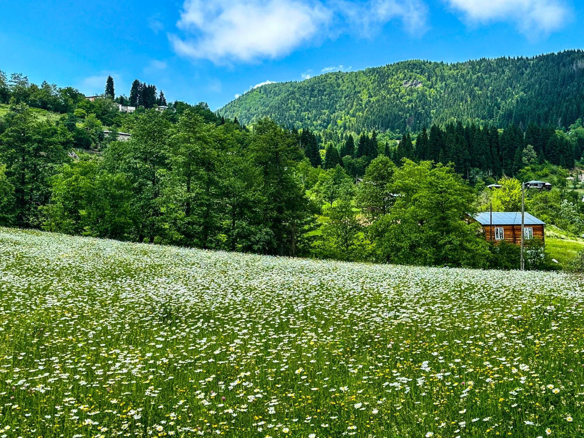 Armazi Otel Khulo Dış mekan fotoğraf