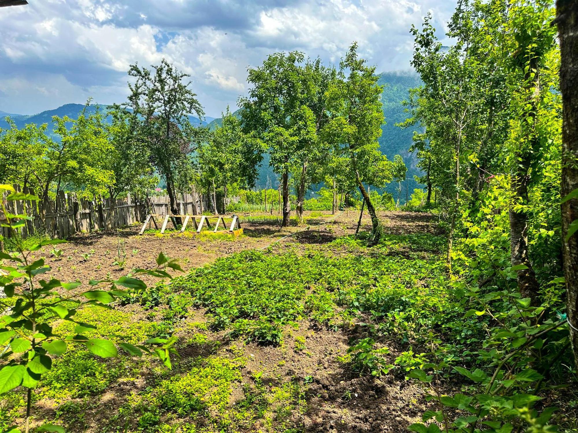 Armazi Otel Khulo Dış mekan fotoğraf
