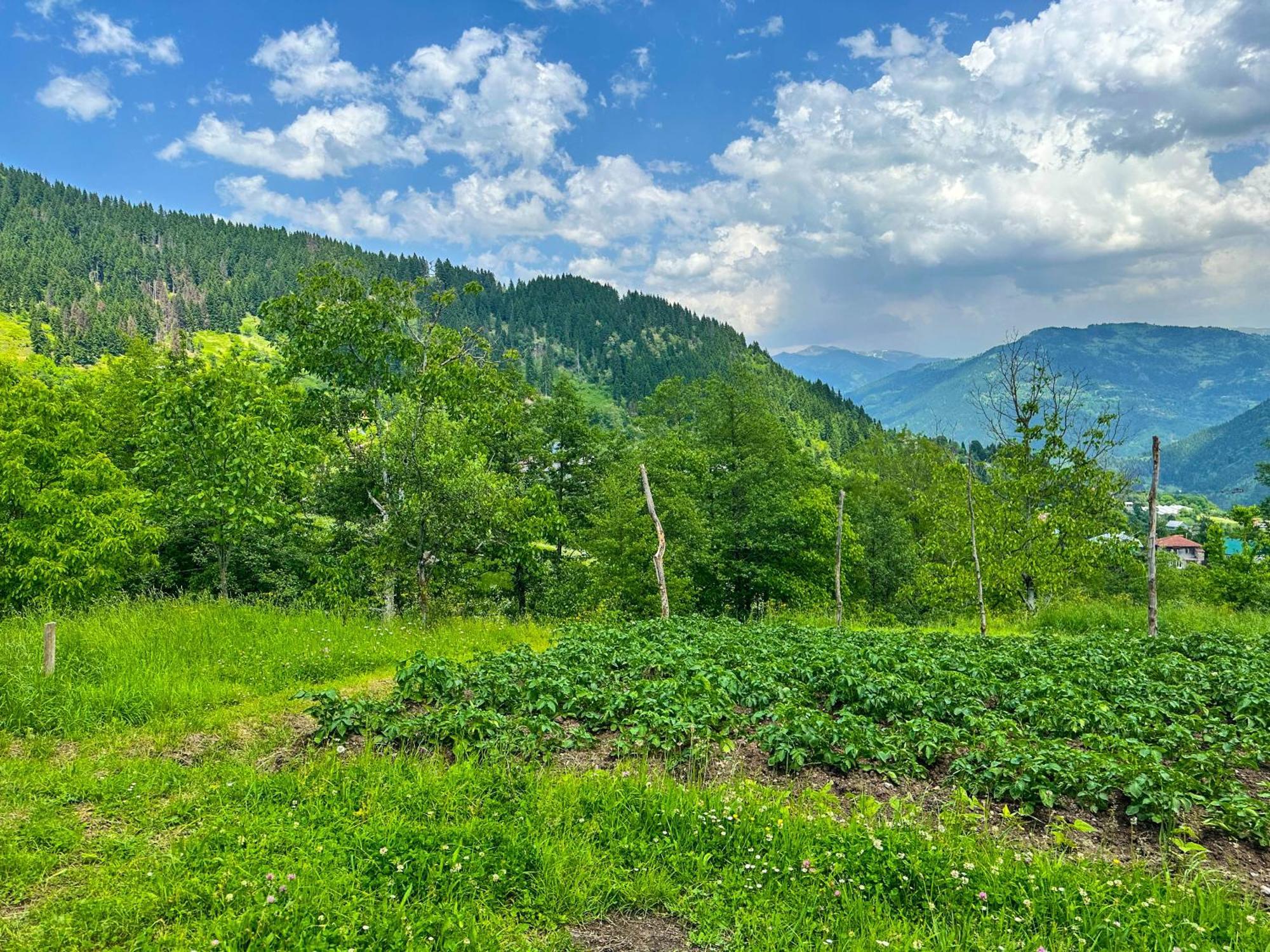 Armazi Otel Khulo Dış mekan fotoğraf