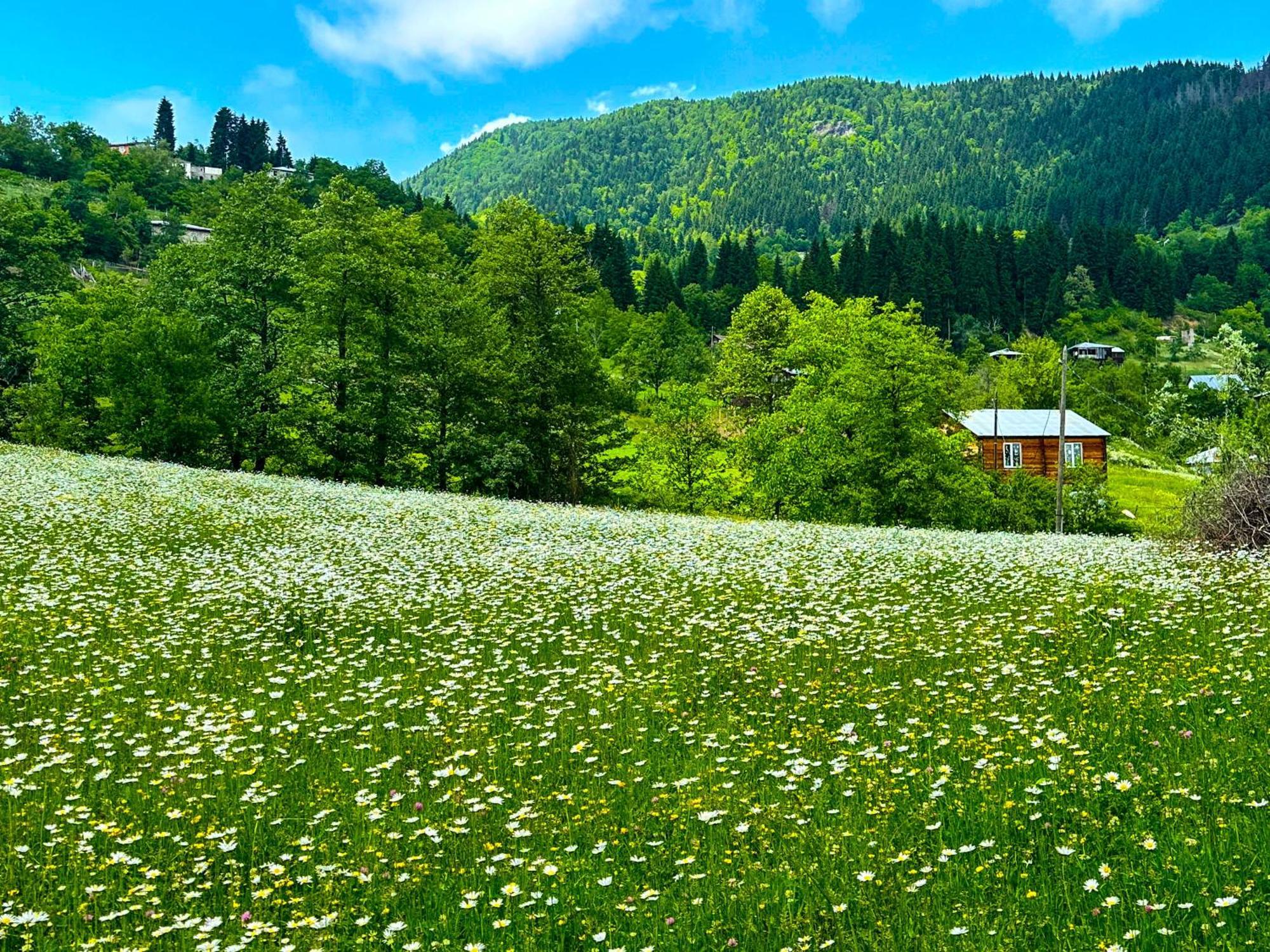 Armazi Otel Khulo Dış mekan fotoğraf