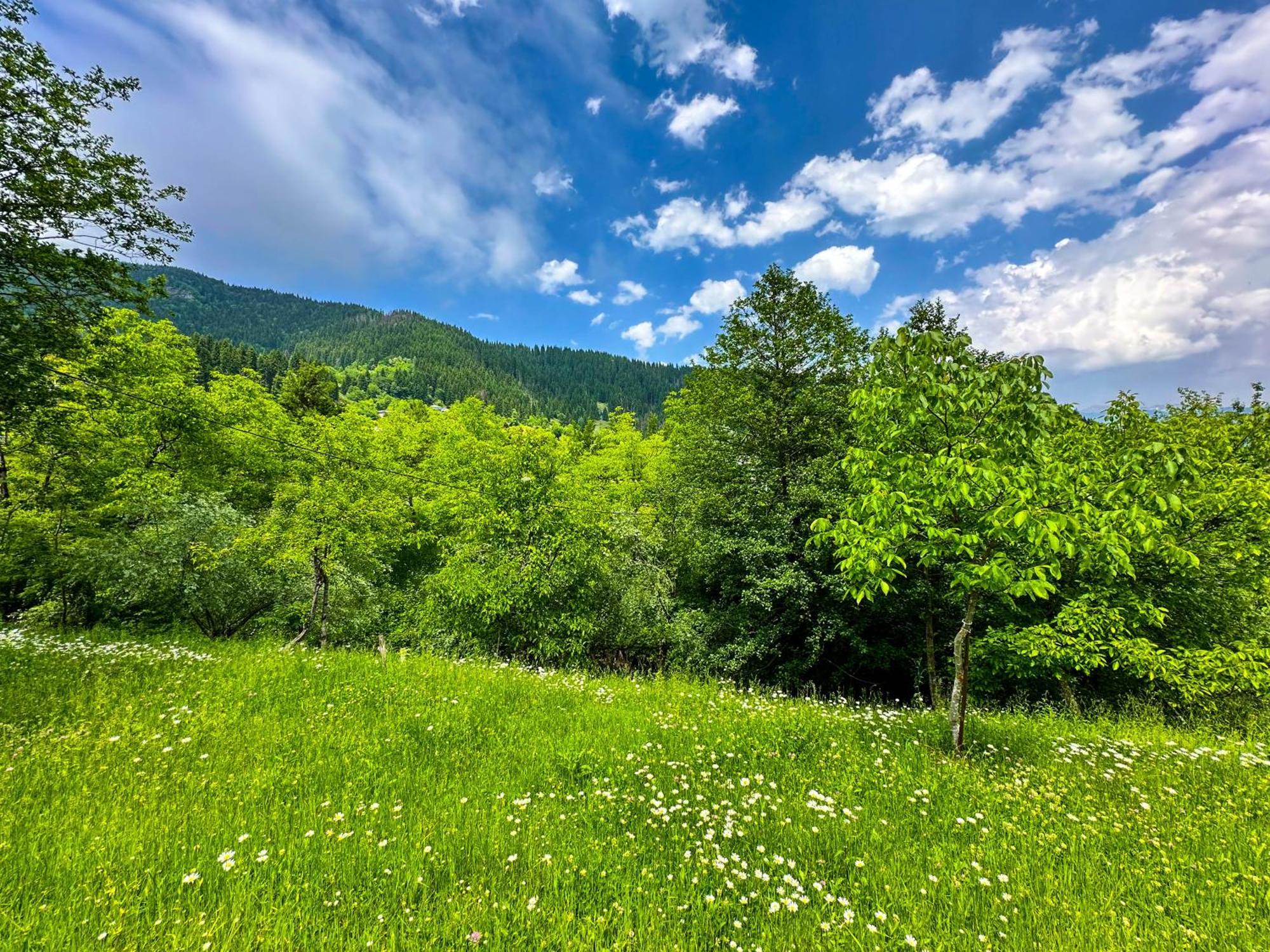 Armazi Otel Khulo Dış mekan fotoğraf