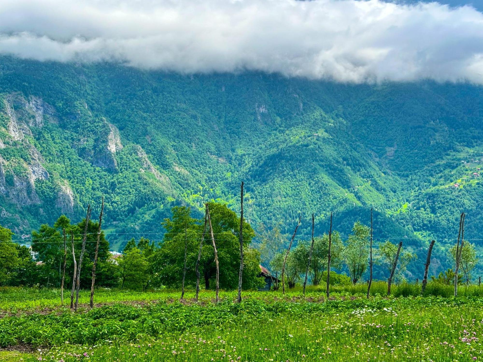 Armazi Otel Khulo Dış mekan fotoğraf
