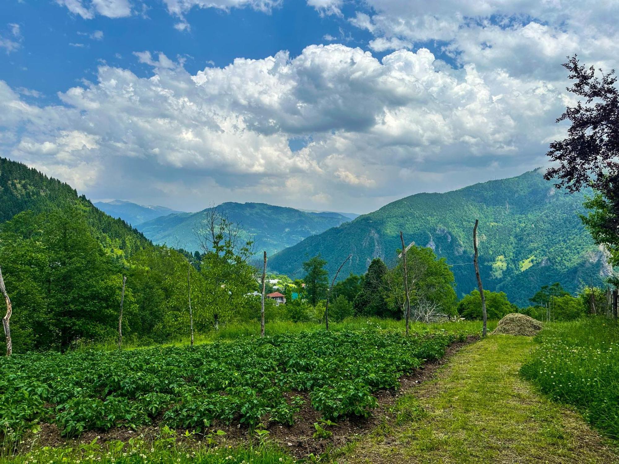 Armazi Otel Khulo Dış mekan fotoğraf